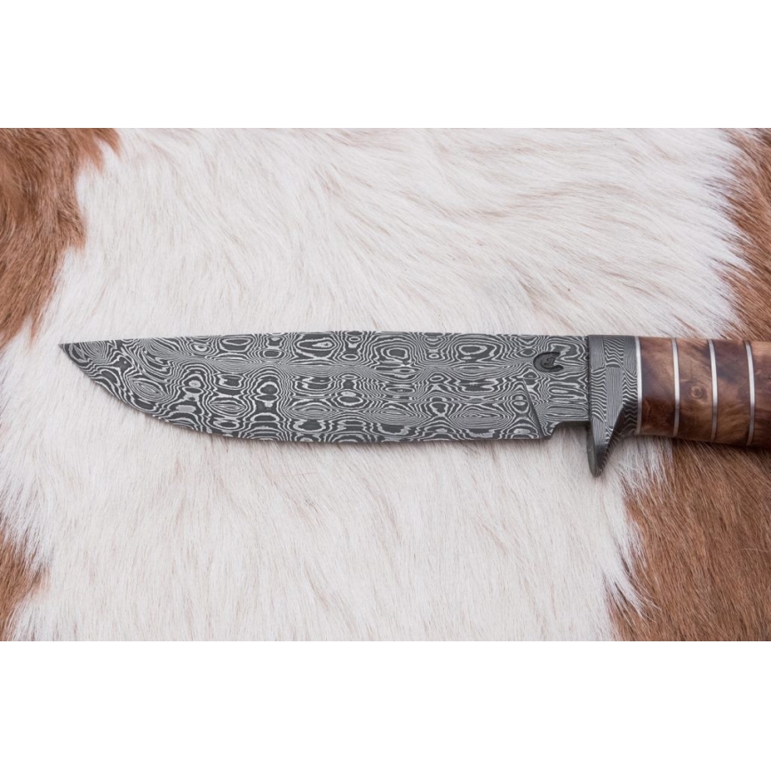 Exclusive Damascus knife 14,4 cm chestnut tree/mammoth tooth