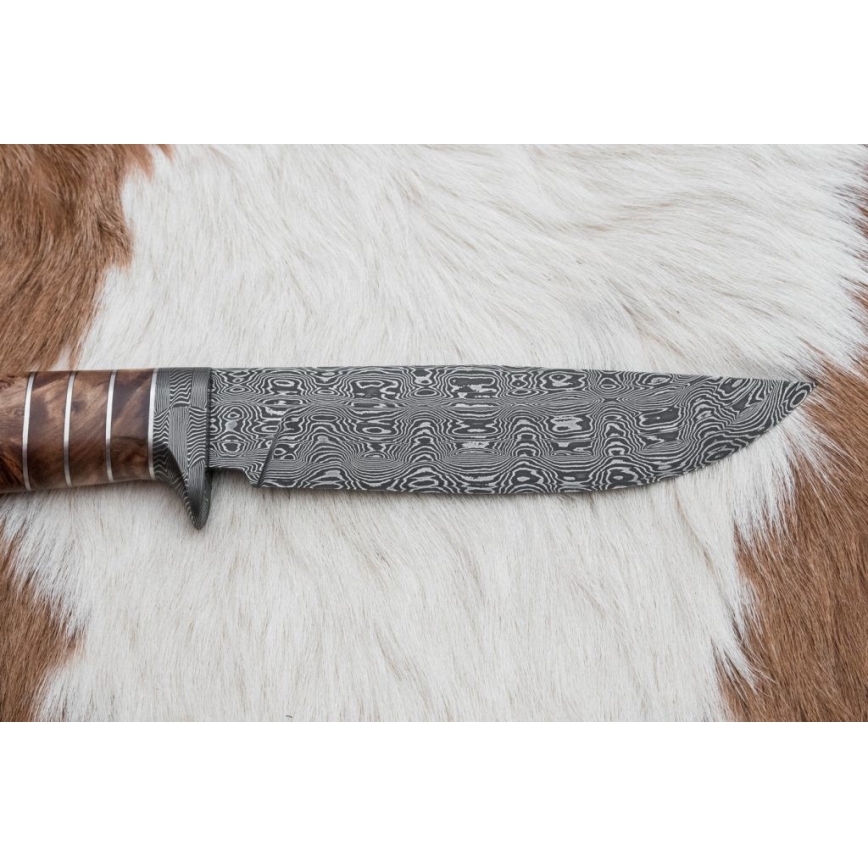 Exclusive Damascus knife 14,4 cm chestnut tree/mammoth tooth