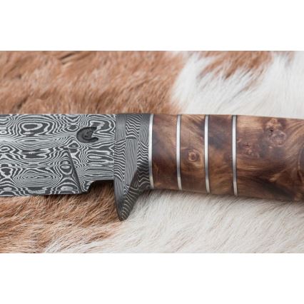 Exclusive Damascus knife 14,4 cm chestnut tree/mammoth tooth