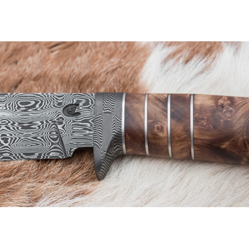Exclusive Damascus knife 14,4 cm chestnut tree/mammoth tooth