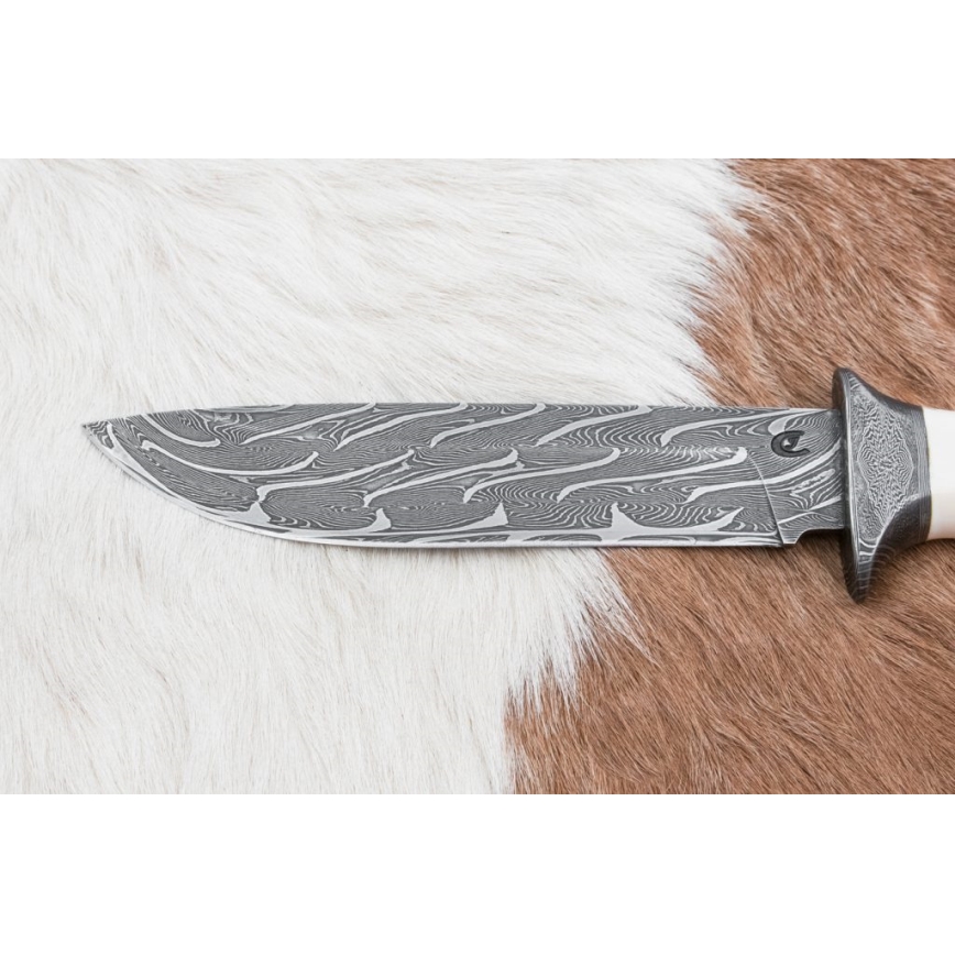 Exclusive Damascus knife 15 cm mammoth tusk