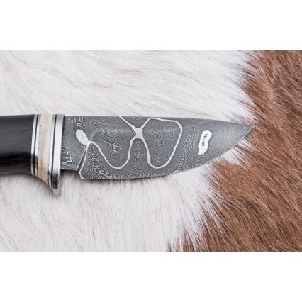 Exclusive Damascus knife 8,6 cm oak/camel bone