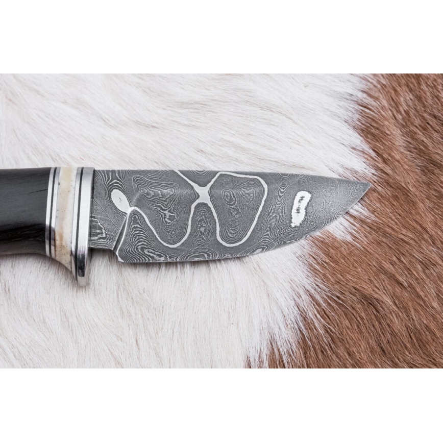 Exclusive Damascus knife 8,6 cm oak/camel bone