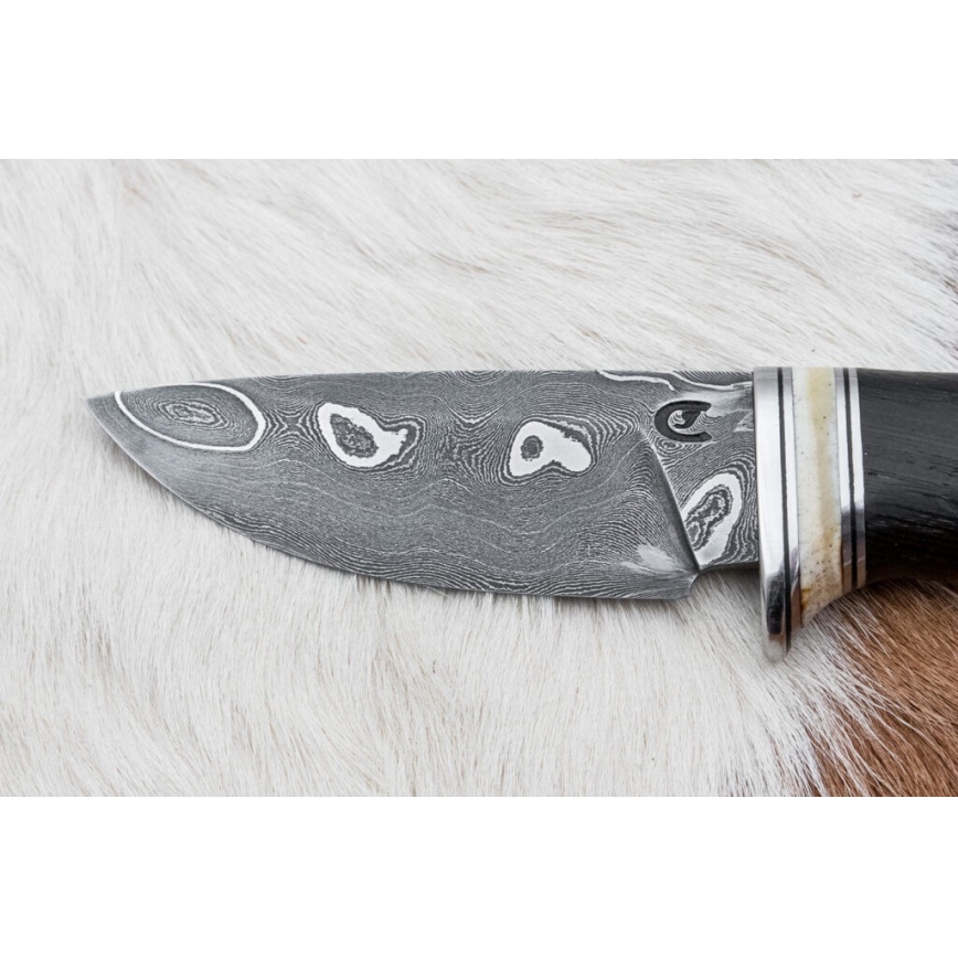 Exclusive Damascus knife 8,6 cm oak/camel bone