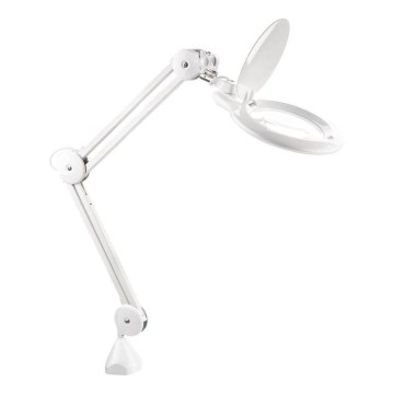 Extol - Dimmable LED Desk Lamp with Magnifier LED/10W/230V White