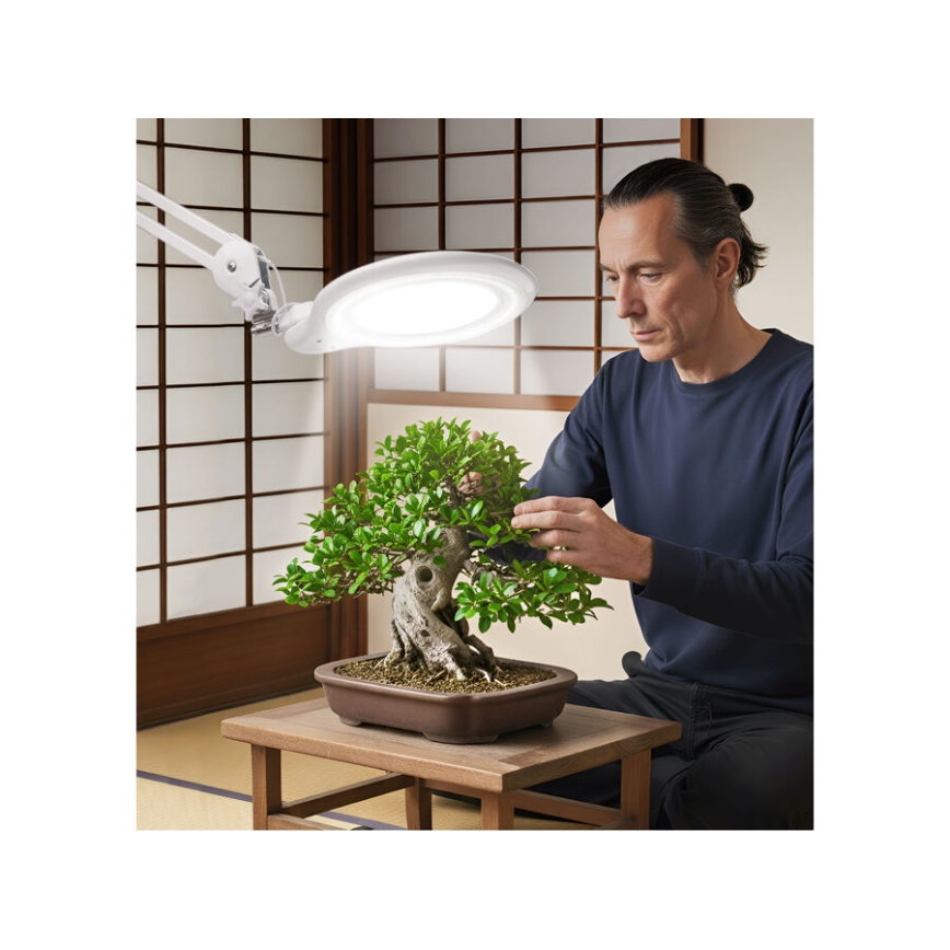 Extol - Dimmable LED Desk Lamp with Magnifier LED/10W/230V White