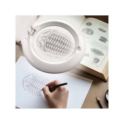 Extol - Dimmable LED Desk Lamp with Magnifier LED/10W/230V White