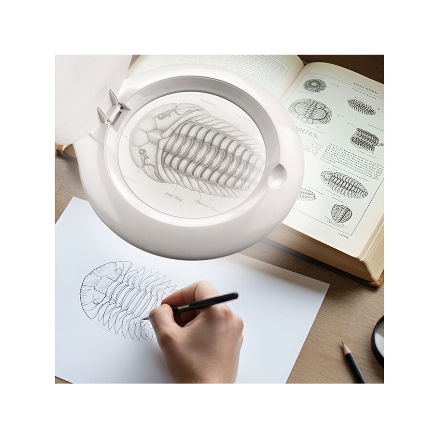 Extol - Dimmable LED Desk Lamp with Magnifier LED/10W/230V White
