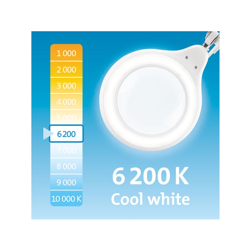 Extol - Dimmable LED Desk Lamp with Magnifier LED/10W/230V White