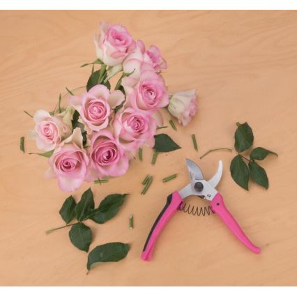 Extol - Gardening shears for flowers 180 mm