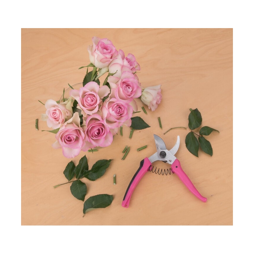 Extol - Gardening shears for flowers 180 mm
