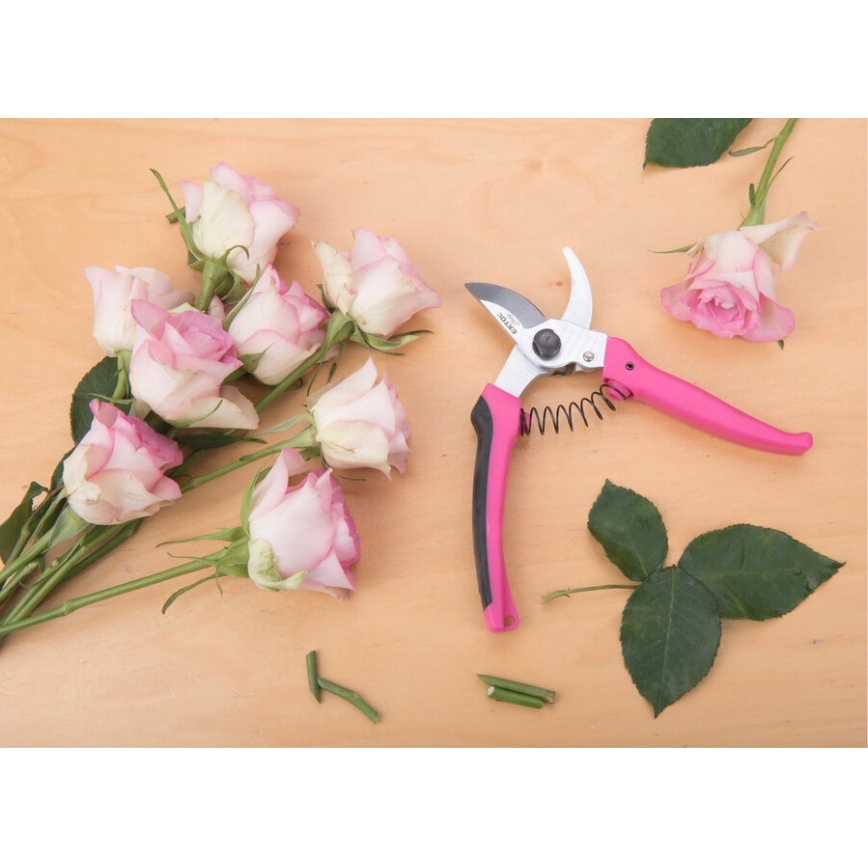 Extol - Gardening shears for flowers 180 mm