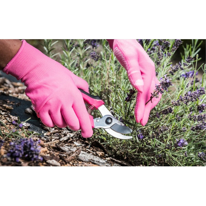 Extol - Gardening shears for flowers 180 mm