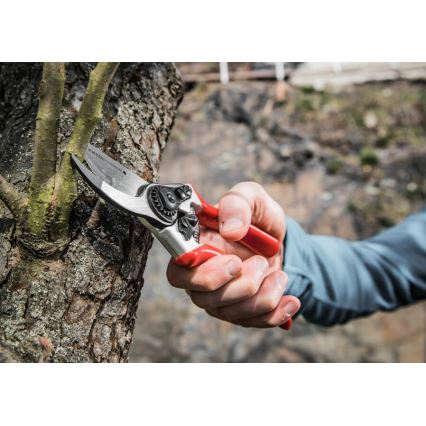 Extol Premium - Gardening shears 215 mm