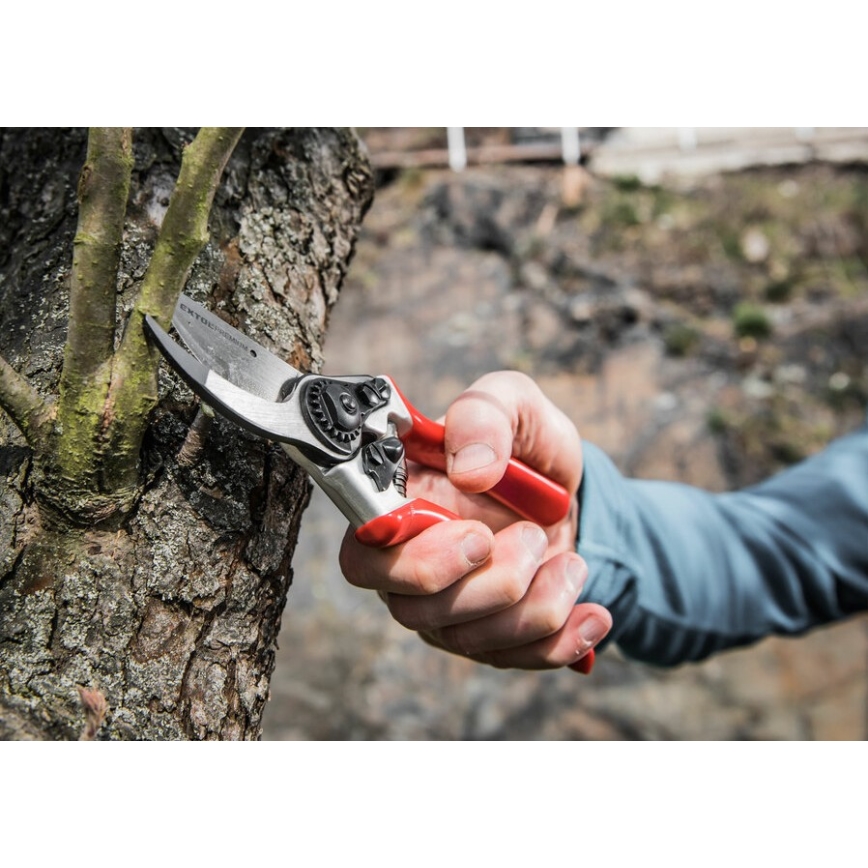 Extol Premium - Gardening shears 215 mm