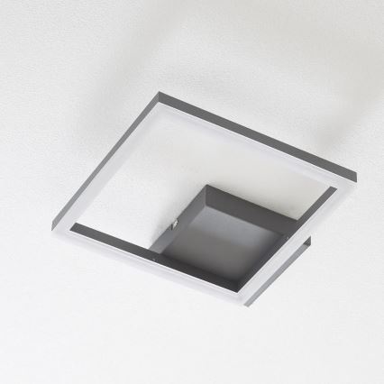 Fabas Luce 3394-21-282 - LED Dimmable ceiling light BARD LED/22W/230V 3000K anthracite