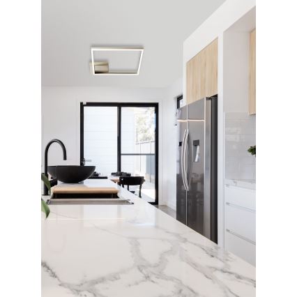 Fabas Luce 3394-61-225 - LED Dimmable ceiling light BARD LED/39W/230V 3000K gold