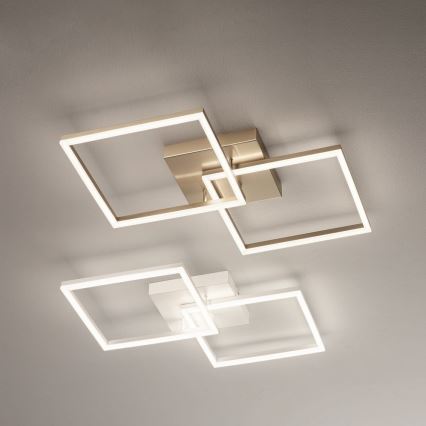 Fabas Luce 3394-65-102 - LED Dimmable ceiling light BARD LED/52W/230V 3000K white