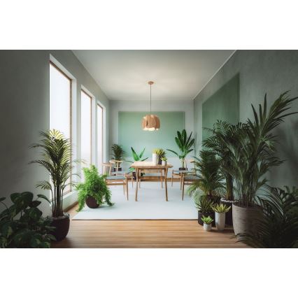 Fabas Luce 3672-40-132 - Chandelier on a string PEVERO 1xE27/40W/230V wood