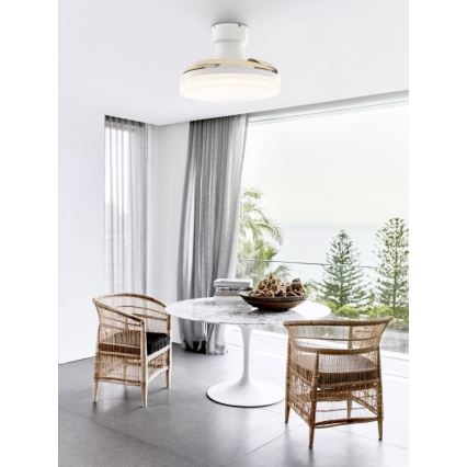 FANAWAY 210664 - LED Dimmable ceiling fan ORBIT LED/25W/230V beige/white + remote control