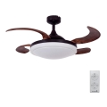 FANAWAY 512120 - Ceiling fan EVORA 2xE27/15W/230V + remote control