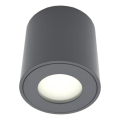 FARA Outdoor Spotlight 1x GU10/30W/230V, IP54, Black