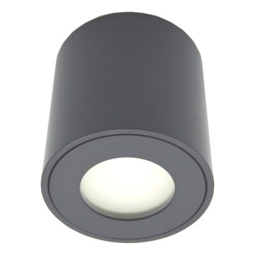 FARA Outdoor Spotlight 1x GU10/30W/230V, IP54, Black