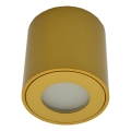 FARA outdoor spotlight 1x GU10/30W/230V IP54 — Gold