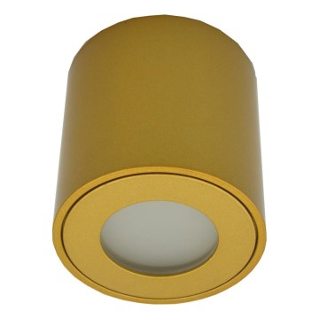 FARA outdoor spotlight 1x GU10/30W/230V IP54 — Gold