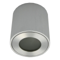 FARA Outdoor Spotlight 1xGU10/30W/230V IP54, Silver