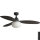 FARO 34301-11L - Ceiling fan PALMA 1xE27/15W/230V brown d. 129 cm IP44 + remote control