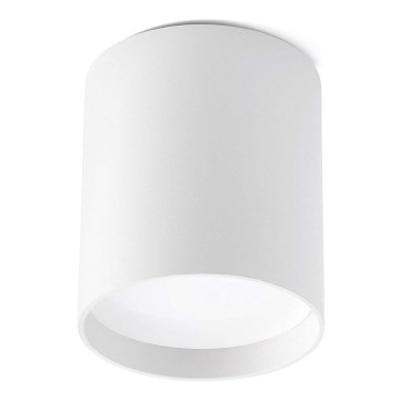 Faro 64206 - LED Spotlight HARU LED/6W/230V white