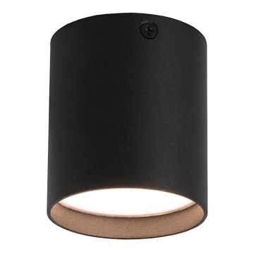 Faro 64207 - LED Spotlight HARU LED/6W/230V black