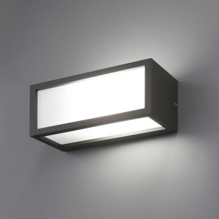FARO 70573 - Outdoor wall light TEJO 1xE27/20W/230V IP54