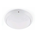 FARO 70722 - Outdoor ceiling light DAKRON 1xE27/40W/230V IP65