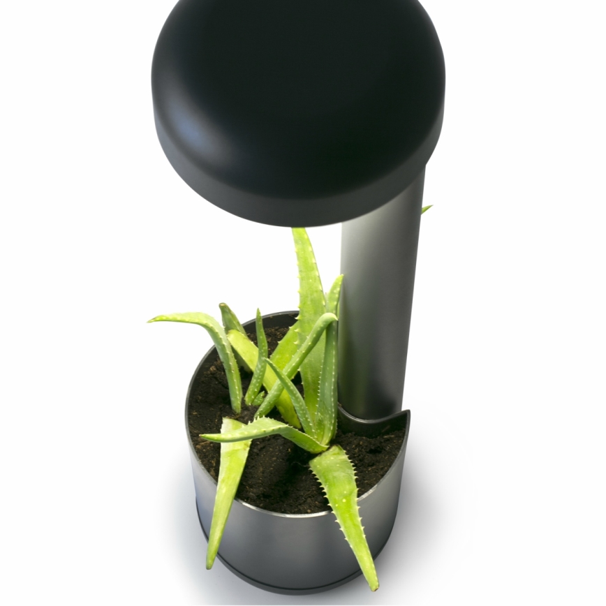 FARO 71206 - LED Outdoor light GROW 1xLED/9W/230V IP65