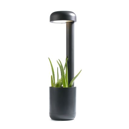 FARO 71207 - LED Outdoor light GROW 1xLED/9W/230V IP65