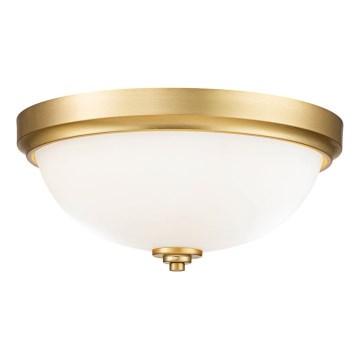 Feiss - Bathroom ceiling light MALIBU 2xE27/60W/230V IP44