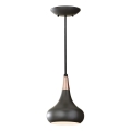 Feiss - BESO Cable Pendant Light 1xE27/60W/230V Ø 17.9 cm Black/Copper