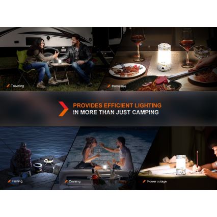 Fenix CL26RPROCAM - LED Dimmable portable rechargeable lamp LED/USB IP66 650 lm 408 h grey