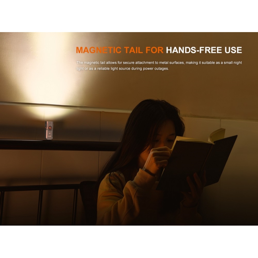 Fenix E06RGRY - LED Dimmable rechargeable flashlight UV LED/USB IP66 700 shiny 60 h 750 mAh grey