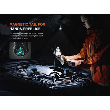 Fenix E12V30 - Dimmable Rechargeable LED Flashlight LED/1xAA 2000 mAh IP68 200 lm 100 h black