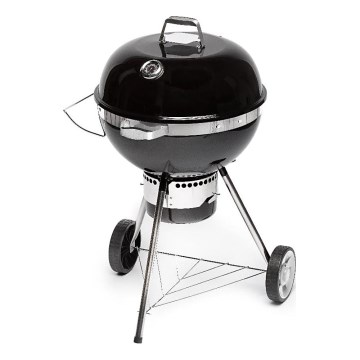 Fieldmann - Charcoal grill black/chrome
