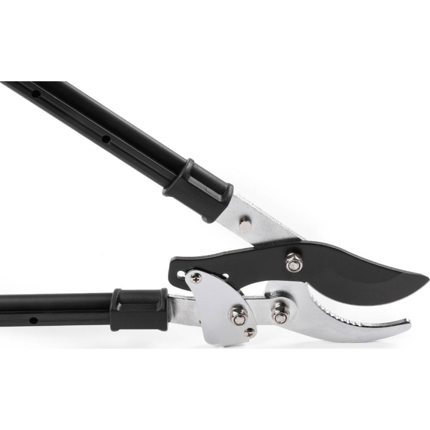 Fieldmann - Telescopic Lever-Action Garden Loppers