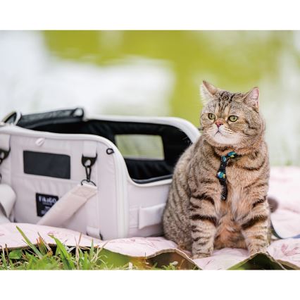 Fikago - Travel carrier bag for dogs and cats TRUFFLE Grey