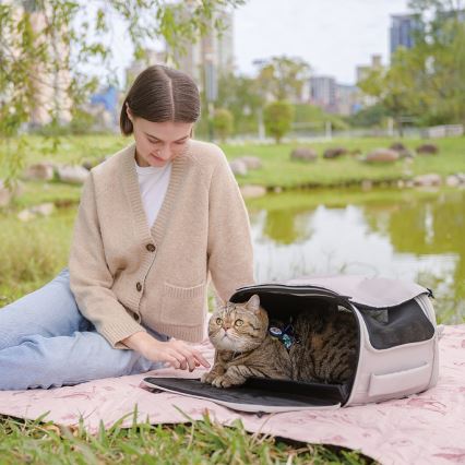 Fikago - Travel carrier bag for dogs and cats TRUFFLE Grey