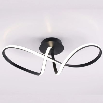 FLAVIA LED Ceiling Light 33W/230V, 24×61 cm, Black