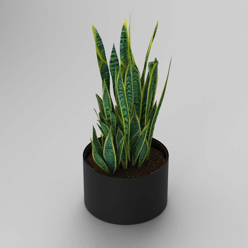 Flowerpot 11x17 cm black