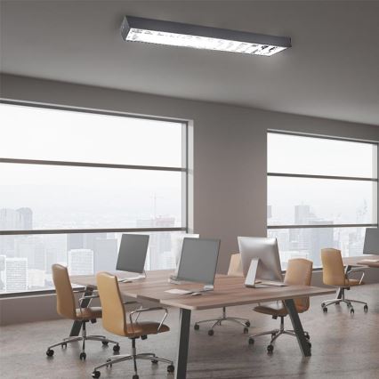 Fluorescent light T8 2xG13/18W/230V 120 cm black