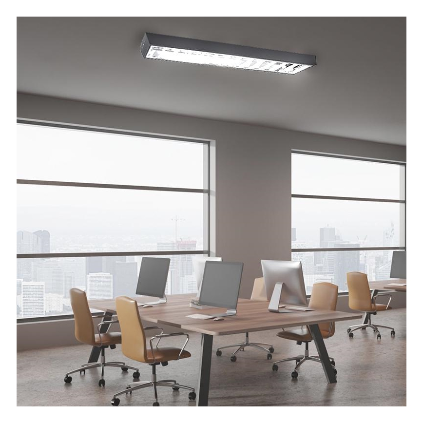 Fluorescent light T8 2xG13/18W/230V 120 cm black